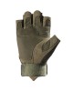 Quaid-2 Half Finger Gloves